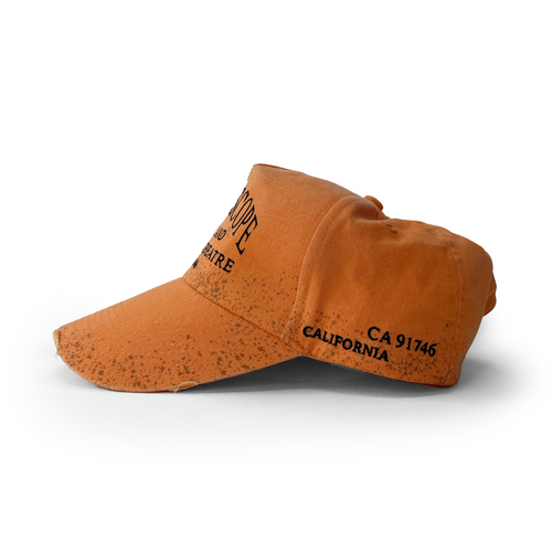 VINELAND TRUCKER CAP
